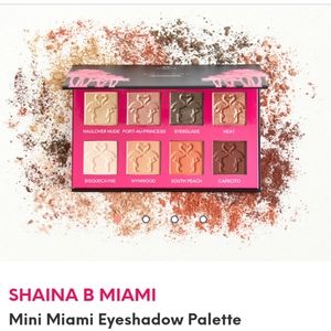 Shaina B mini Miami shadow palette.